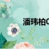 潘瑋柏007演唱會（潘瑋柏007）