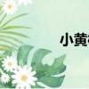 小黃梅（關于小黃梅簡介）