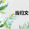 當歸文化（關于當歸文化介紹）