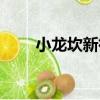 小龍坎新街（關于小龍坎新街簡介）