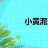 小黃泥河（關于小黃泥河簡介）