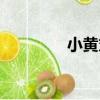 小黃丸（關于小黃丸簡介）