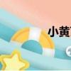 小黃芪（關于小黃芪簡介）