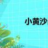 小黃沙崗（關于小黃沙崗簡介）