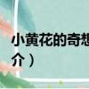 小黃花的奇想世界（關于小黃花的奇想世界簡介）