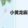 小黃龍廟溝（關于小黃龍廟溝簡介）