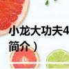 小龍大功夫4(VCD)（關于小龍大功夫4(VCD)簡介）