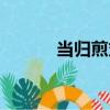當歸煎丸（關于當歸煎丸介紹）