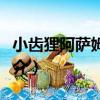 小齒貍阿薩姆亞種（關于小齒貍阿薩姆亞種簡介）