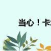 當心！卡塔（關于當心！卡塔介紹）