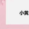 小黃人（關于小黃人簡介）