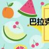 巴拉克的憤怒（巴拉克亞軍）