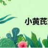 小黃芪酒（關于小黃芪酒簡介）