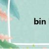 bin larden（bin laden）