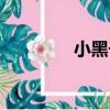 小黑子（關于小黑子簡介）