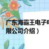 廣東海霸王電子電器有限公司（關于廣東海霸王電子電器有限公司介紹）