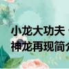 小龍大功夫 七神龍再現（關于小龍大功夫 七神龍再現簡介）