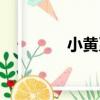 小黃系（關于小黃系簡介）