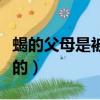 蝎的父母是被誰殺死的（蝎的父母是被誰殺死的）