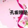 孔雀翎是什么意思（孔雀翎是什么）