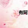 有阿波羅的動畫片（有阿）