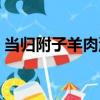 當歸附子羊肉湯（關于當歸附子羊肉湯介紹）