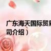 廣東海天國際貿易有限公司（關于廣東海天國際貿易有限公司介紹）