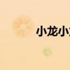 小龍小龍（關于小龍小龍簡介）