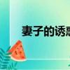 妻子的誘惑123集（妻子的誘惑123）