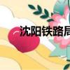 沈陽鐵路局王義（沈陽鐵路局王占柱）