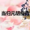當歸元胡瘦肉湯（關于當歸元胡瘦肉湯介紹）