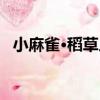 小麻雀·稻草人（關于小麻雀·稻草人簡介）