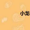 小龍亭（關于小龍亭簡介）