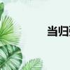 當歸粥（關于當歸粥介紹）