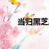 當歸黑芝麻（關于當歸黑芝麻介紹）