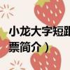 小龍大字短距加蓋票（關于小龍大字短距加蓋票簡介）