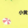 小黃龍（關于小黃龍簡介）