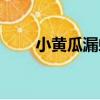 小黃瓜漏蝦（關于小黃瓜漏蝦簡介）