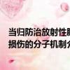 當歸防治放射性肺損傷的分子機制（關于當歸防治放射性肺損傷的分子機制介紹）