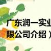 廣東潤一實業有限公司（關于廣東潤一實業有限公司介紹）
