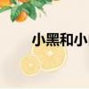 小黑和小白（關于小黑和小白簡介）