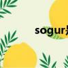 sogur是什么意思（soguakk）