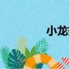 小龍妹（關于小龍妹簡介）