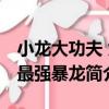 小龍大功夫 九最強暴龍（關于小龍大功夫 九最強暴龍簡介）