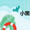 小黑熊（關于小黑熊簡介）