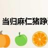 當歸麻仁豬踭湯（關于當歸麻仁豬踭湯介紹）