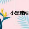 小黑球闖關（關于小黑球闖關簡介）