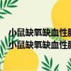 小鼠缺氧缺血性腦病胚胎干細胞移植治療的實驗研究（關于小鼠缺氧缺血性腦病胚胎干細胞移植治療的實驗研究簡介）