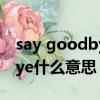 say goodbye是哪首歌里的詞（say goodbye什么意思）