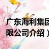 廣東海利集團有限公司（關于廣東海利集團有限公司介紹）